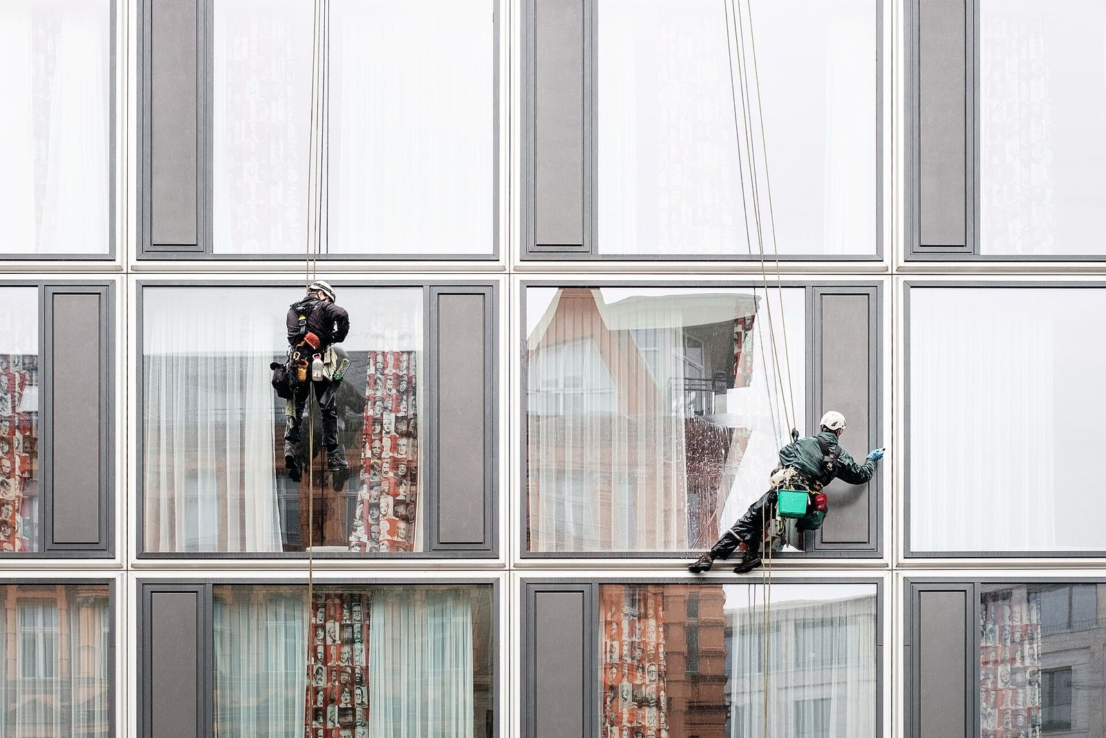 Rope-access window cleaners on a glass facade